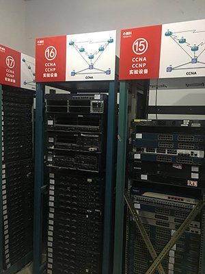 从项目运维到数据库管理等